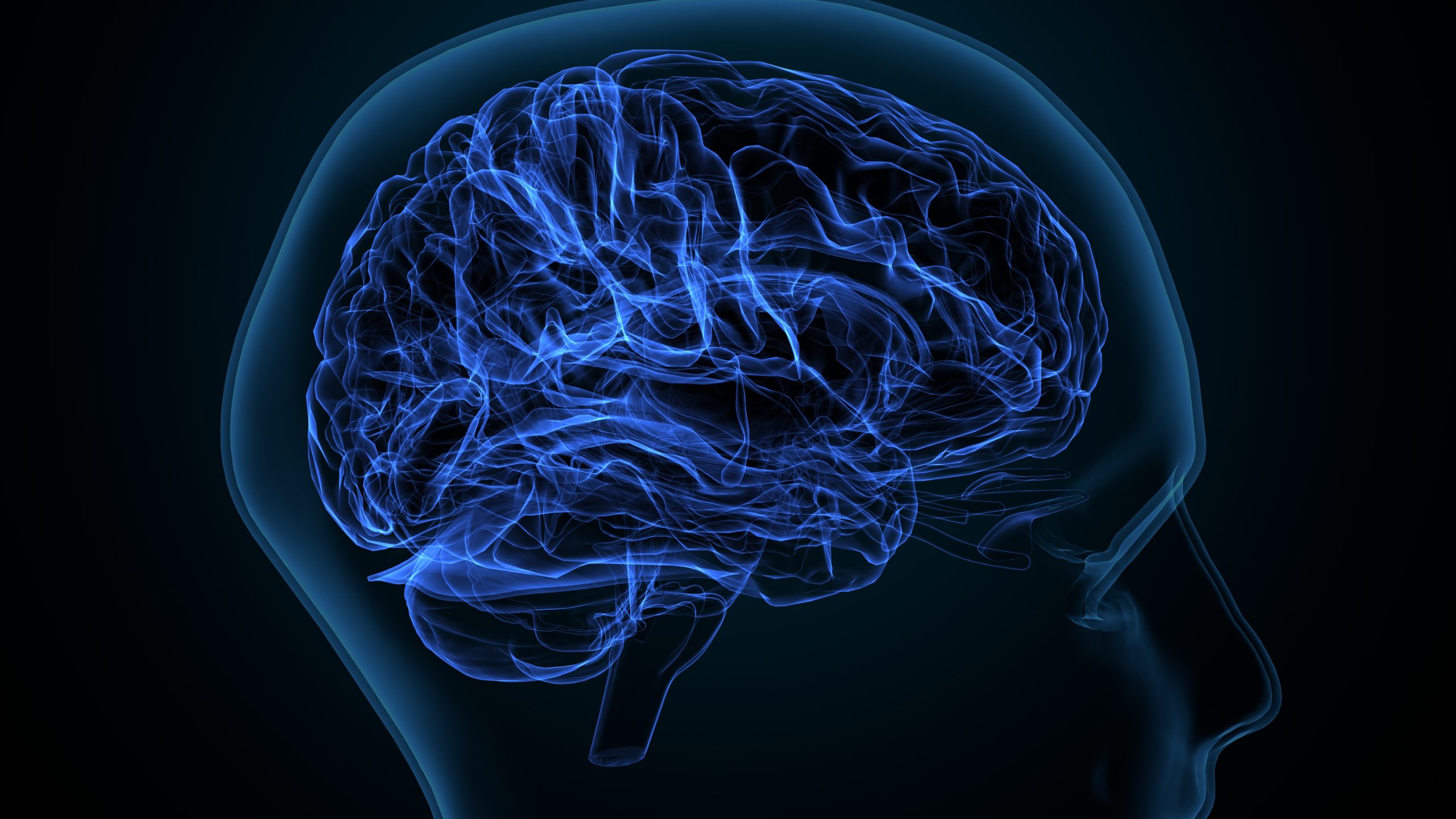 Evidence for a new Type of Memory with Implications for Understanding Consciousness and Perception